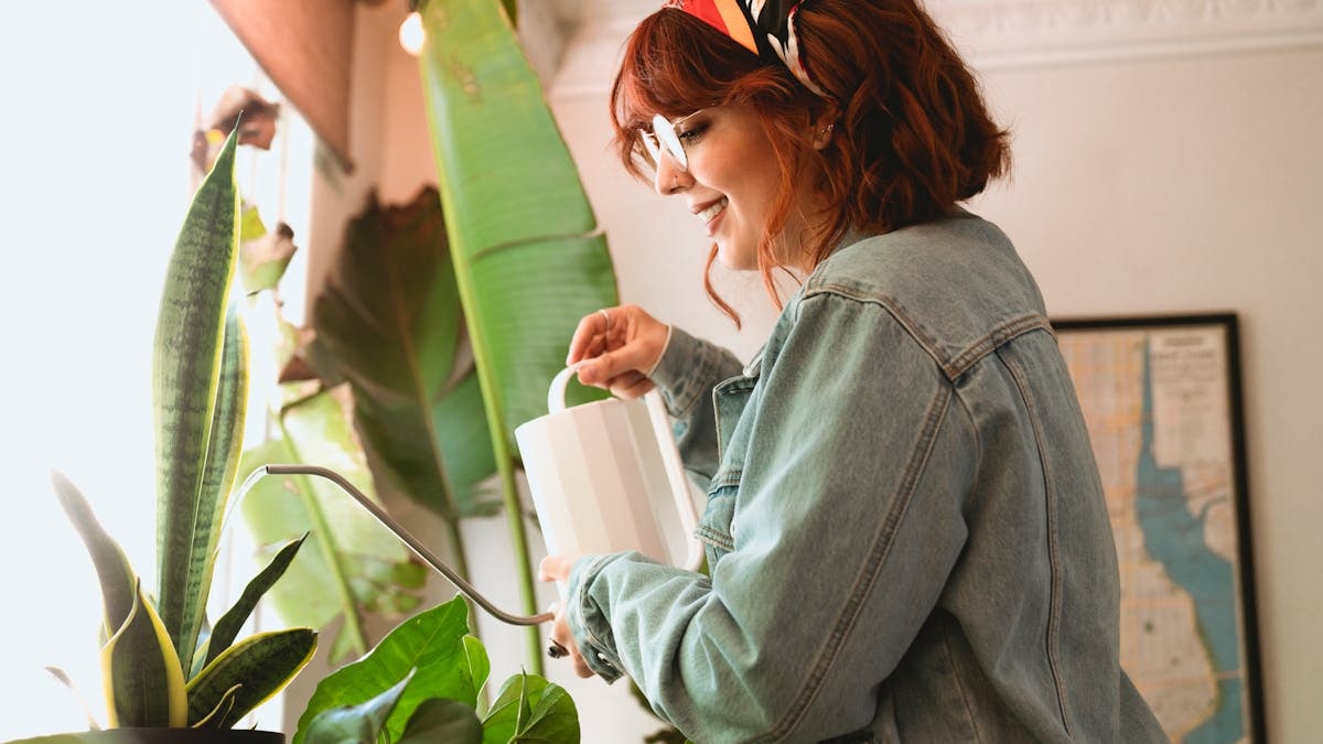 Cómo crear un ambiente saludable en casa